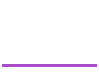 MS multimedia